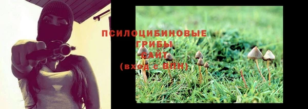 spice Алексеевка