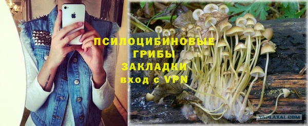 дурь Алексин