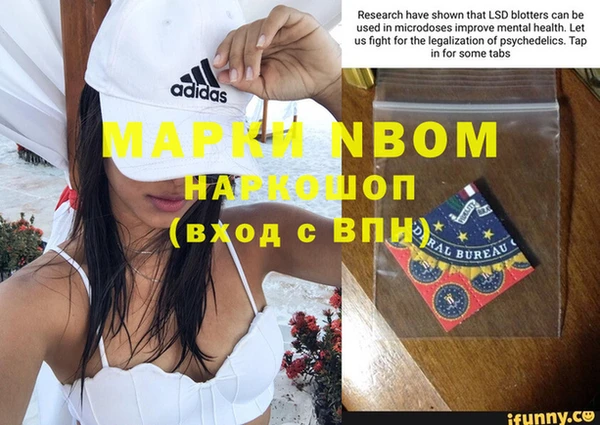 дурь Алексин