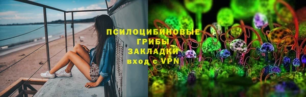 дурь Алексин
