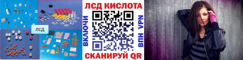 где купить   Грайворон  LSD-25 экстази кислота 