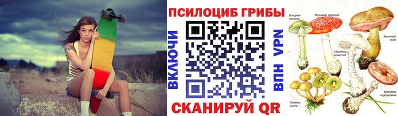 Псилоцибиновые грибы Magic Shrooms  закладка  Грайворон 